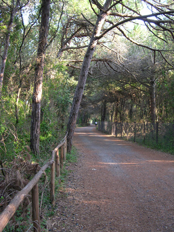 Cycle Paths Cecina